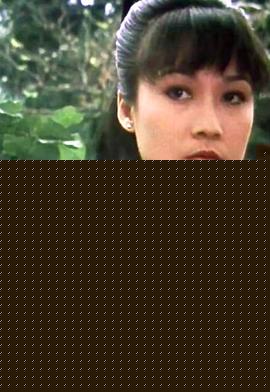 发现湾粤语